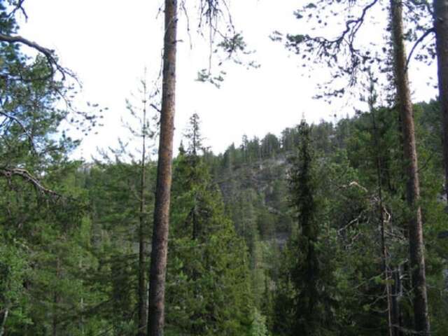Дома для отпуска Holiday Home Metso 2 Рука-33